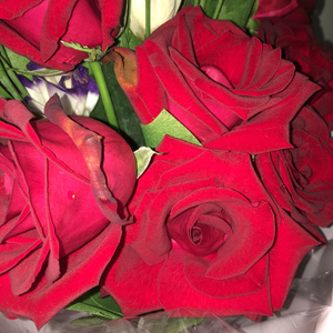 《王李丹妮极乐宝鉴2》电影观看
