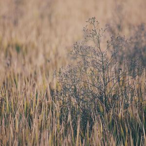 《王李丹妮极乐宝鉴2》电影观看
